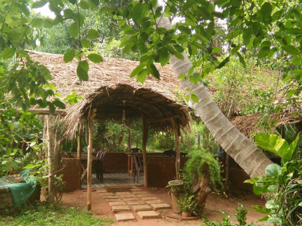 Gimanhala Cottage & Cookary Class Anuradhapura Buitenkant foto